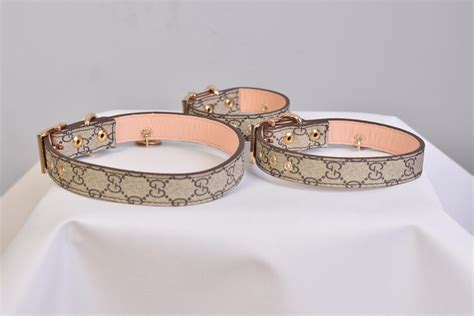 gucci dog collar|gucci per cani.